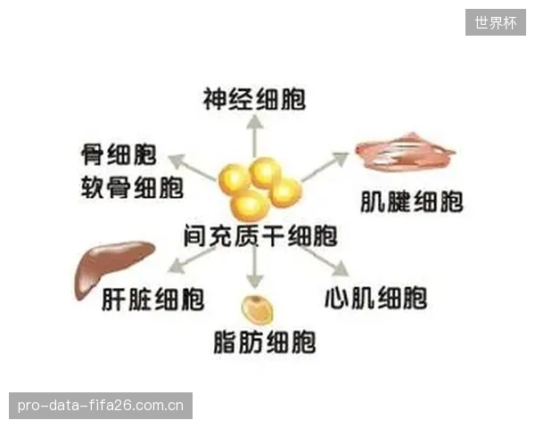 引入神经监测后,F1车手的平均反应时间减少15毫秒,显著降低事故率 引入神经监测后,F1车手的平均反应时间减少15毫秒,显著降低事故率